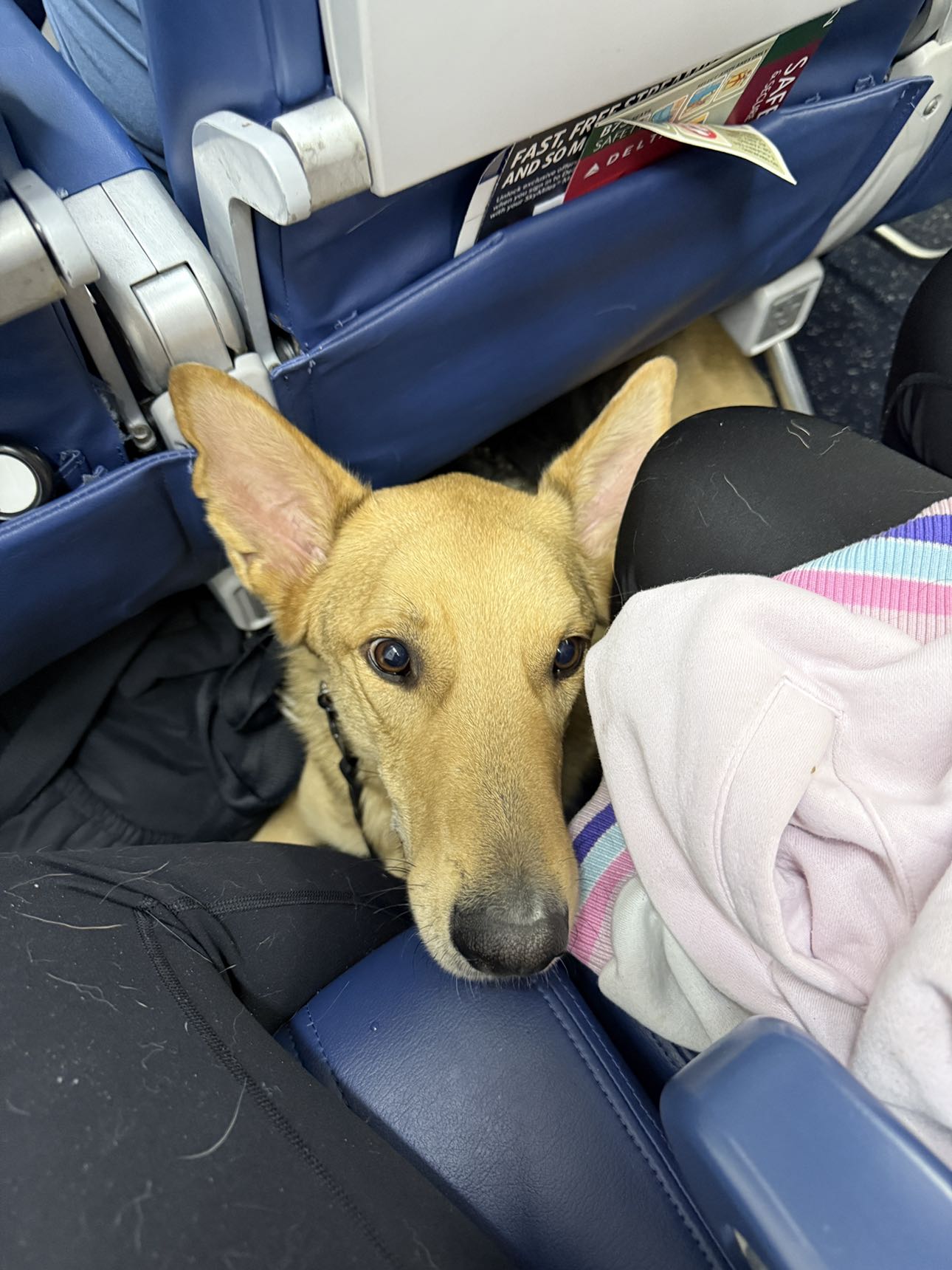 miahuffmann snapchat image archive image