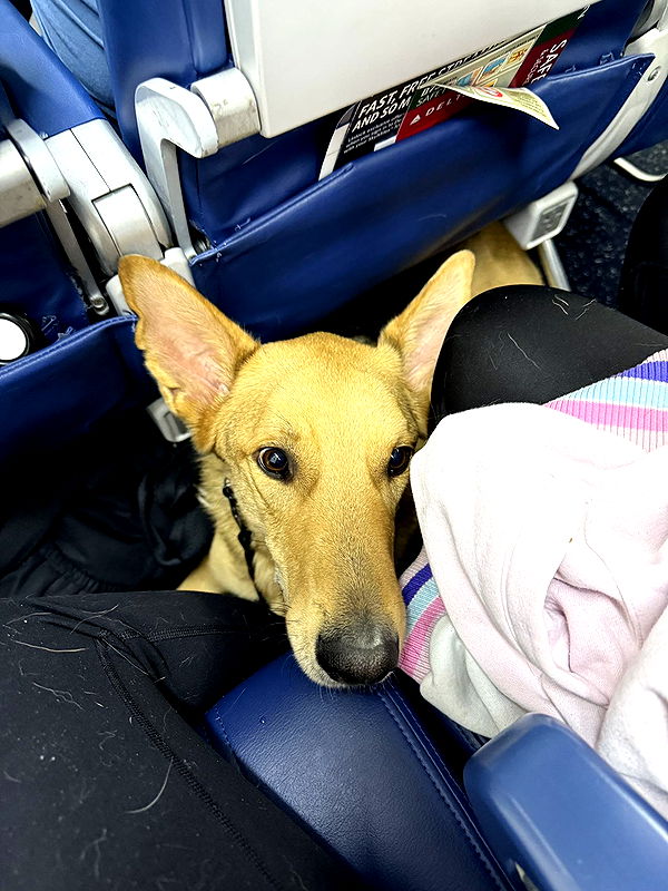 miahuffmann image ~ Altpins