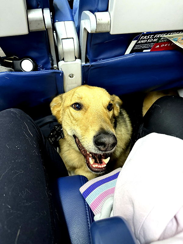 miahuffmann image ~ Altpins