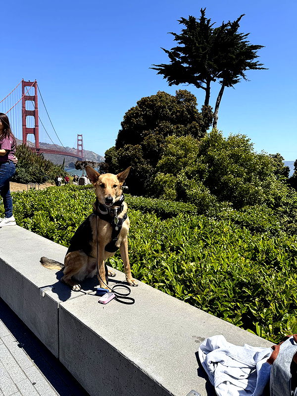 miahuffmann image ~ Altpins