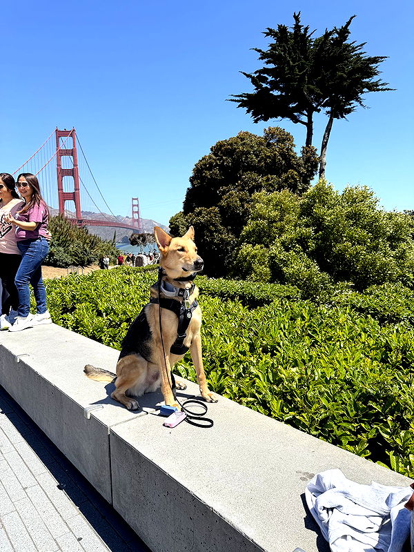 miahuffmann image ~ Altpins