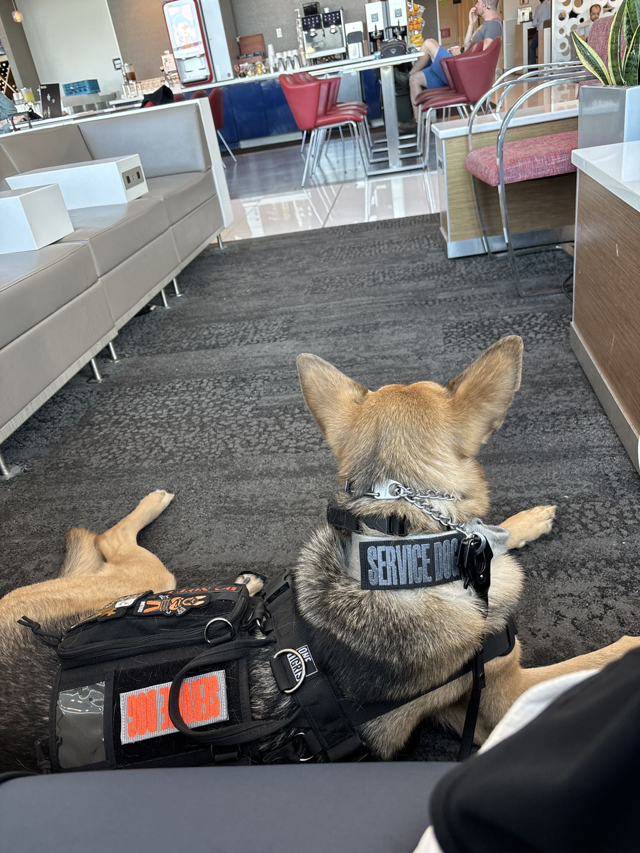 miahuffmann snapchat image archive image