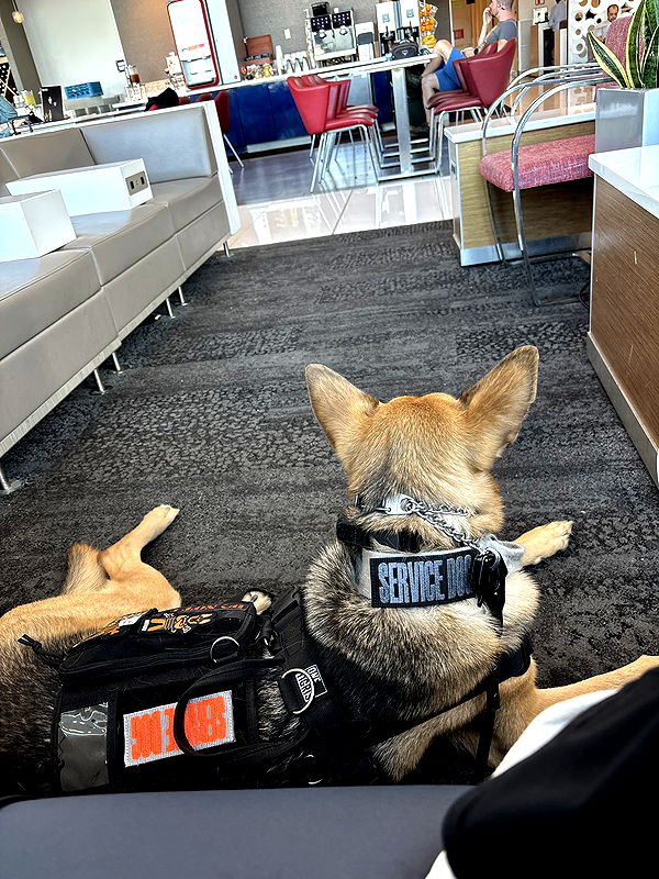 miahuffmann image ~ Altpins