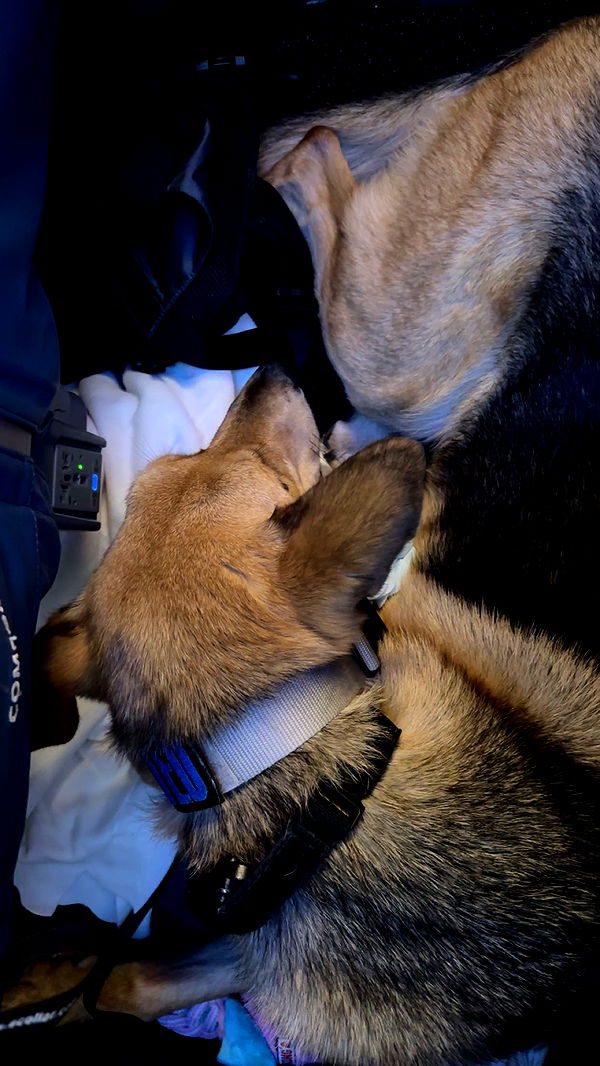 miahuffmann image ~ Altpins