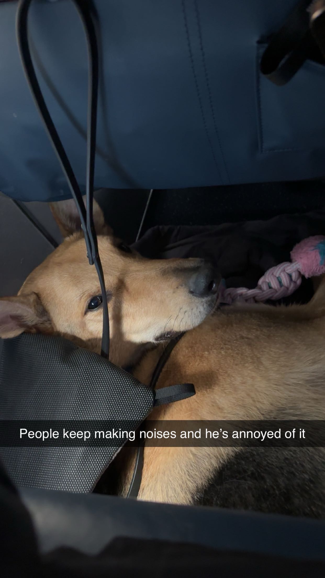 miahuffmann snapchat image archive image