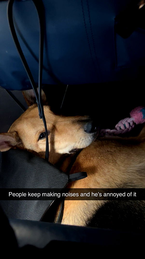 miahuffmann image ~ Altpins