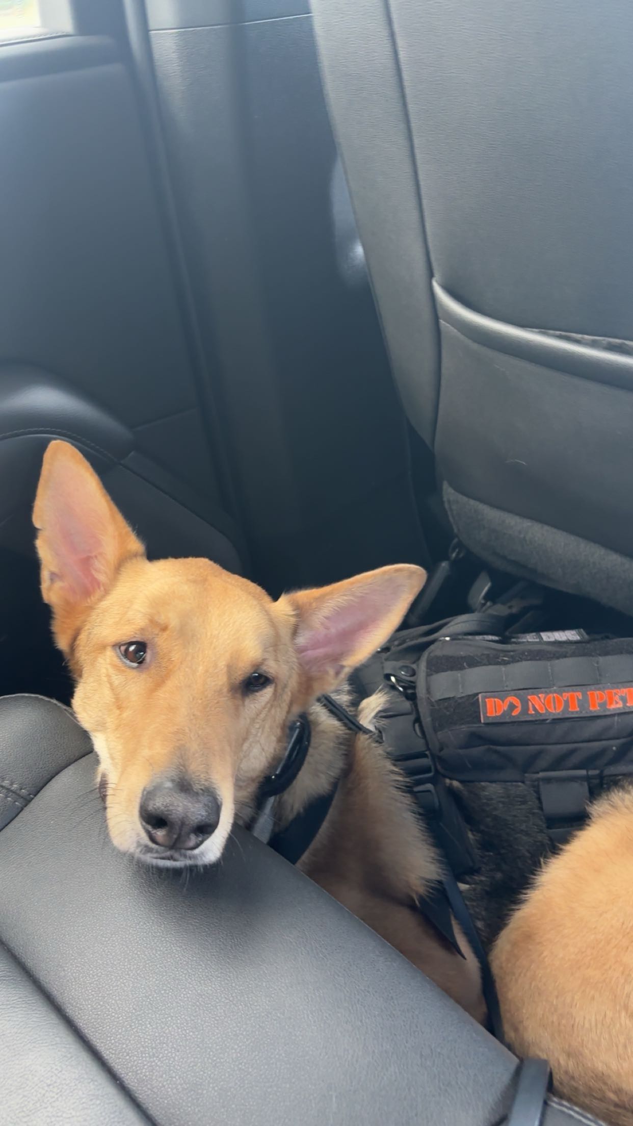 miahuffmann snapchat image archive image