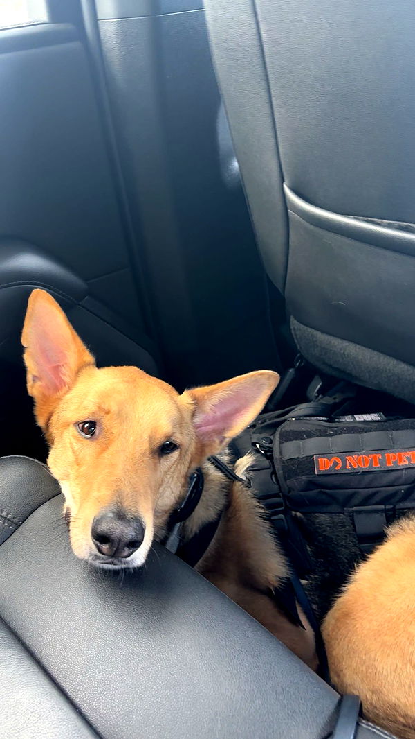 miahuffmann image ~ Altpins