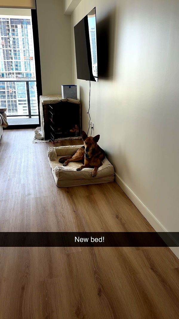 miahuffmann image ~ Altpins