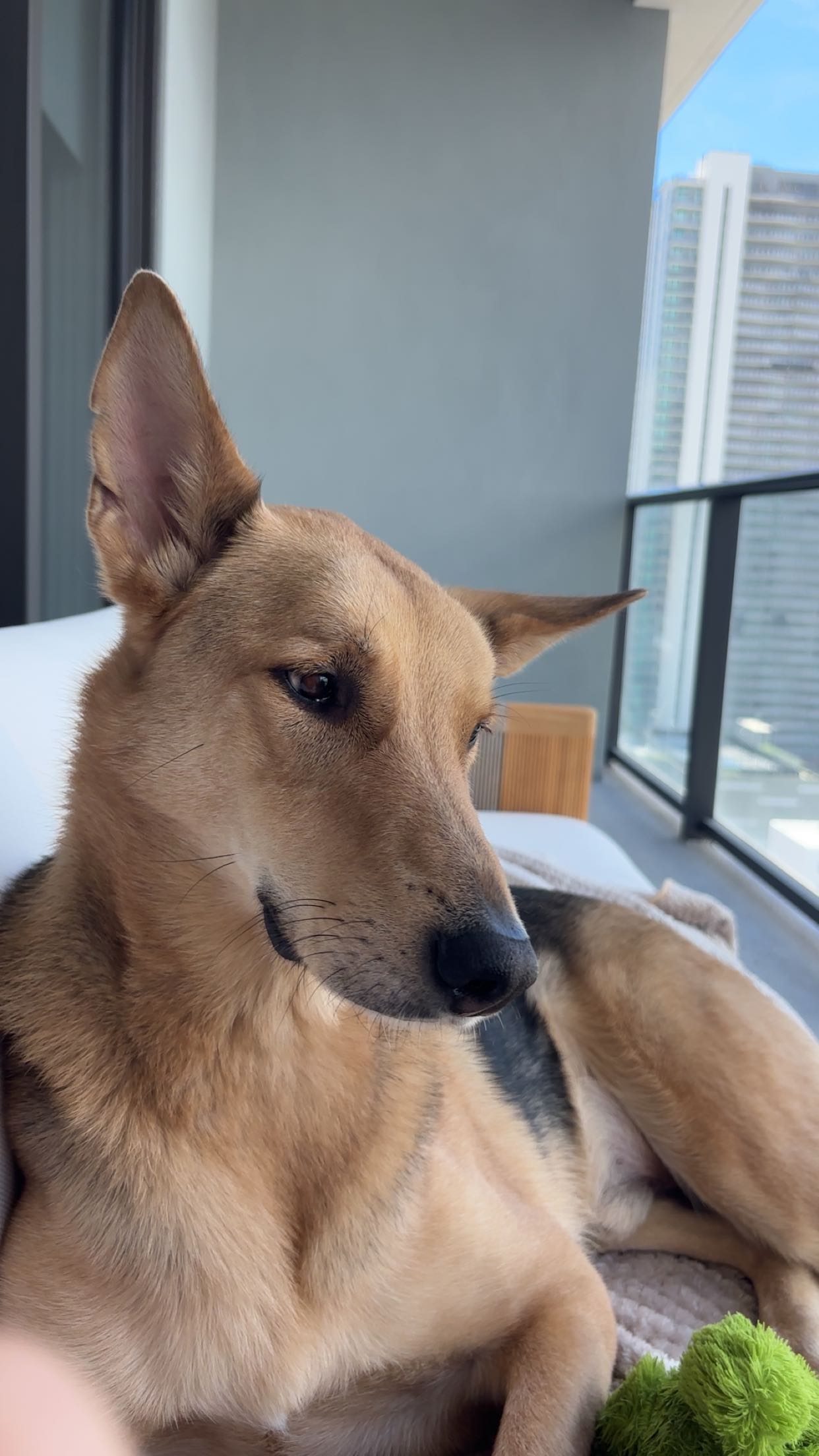 miahuffmann snapchat image archive image