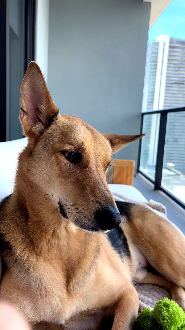 miahuffmann image ~ Altpins