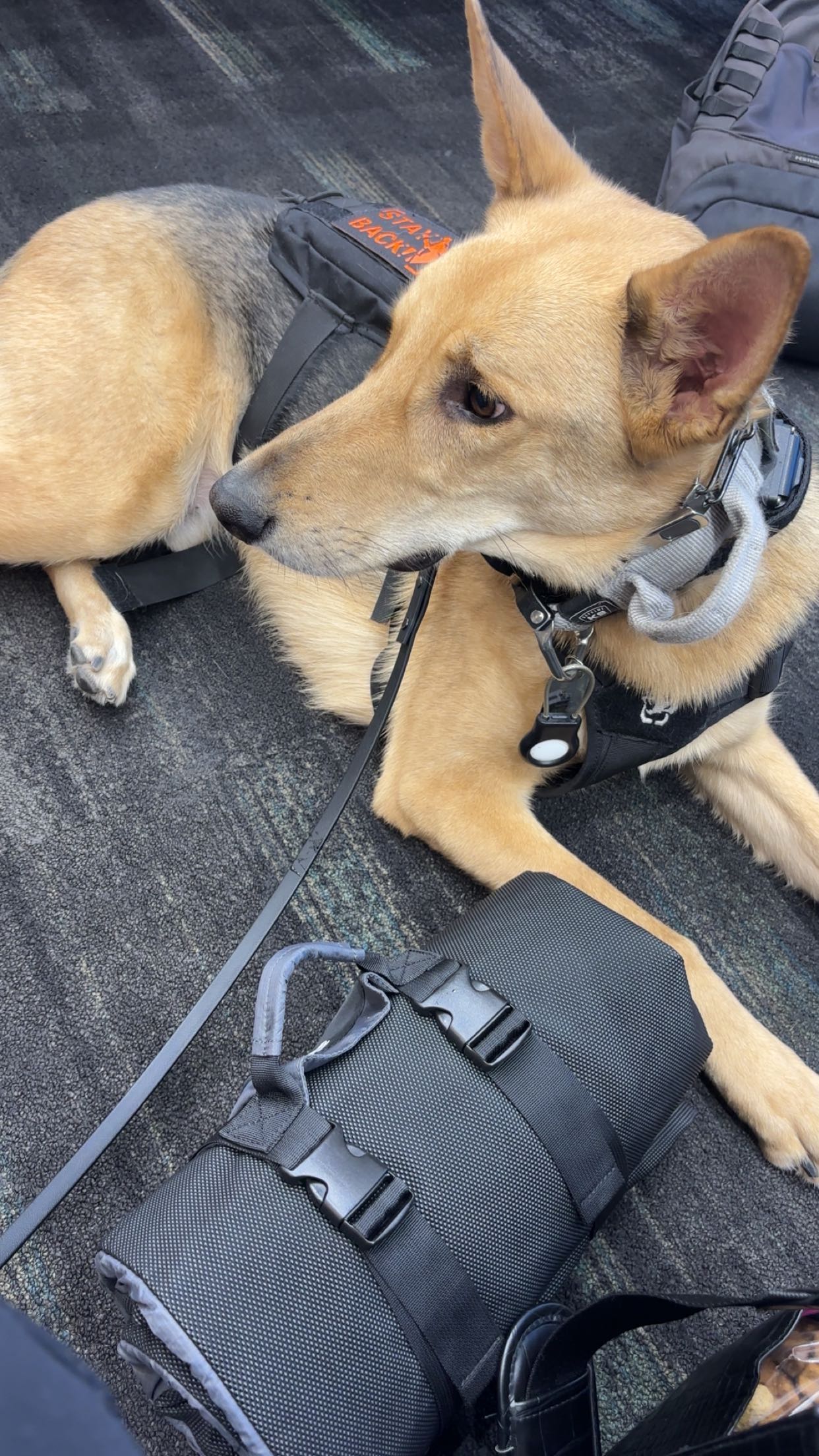 miahuffmann snapchat image archive image