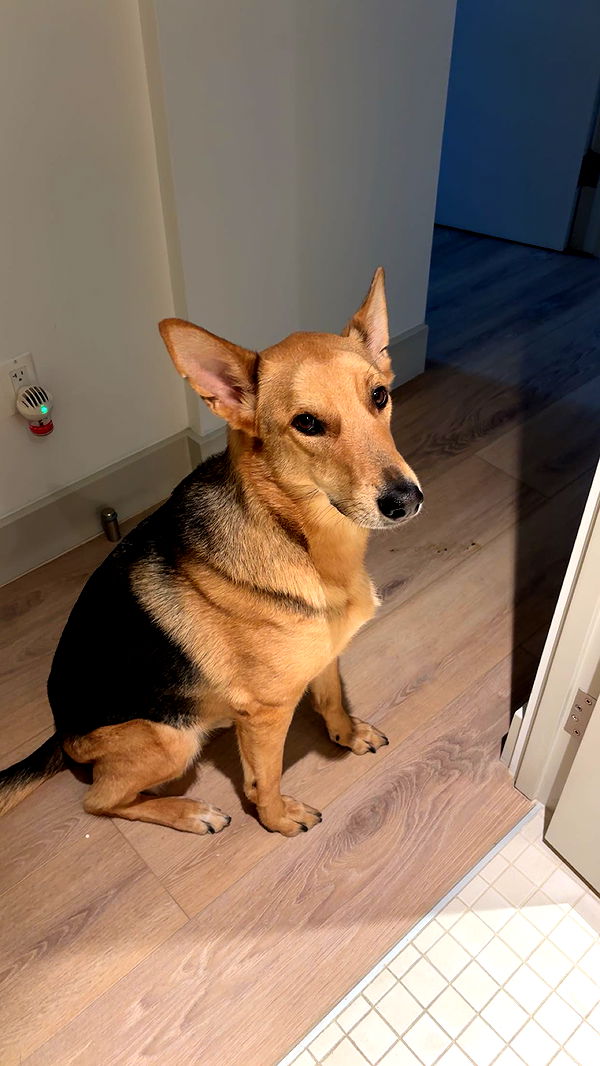 miahuffmann image ~ Altpins