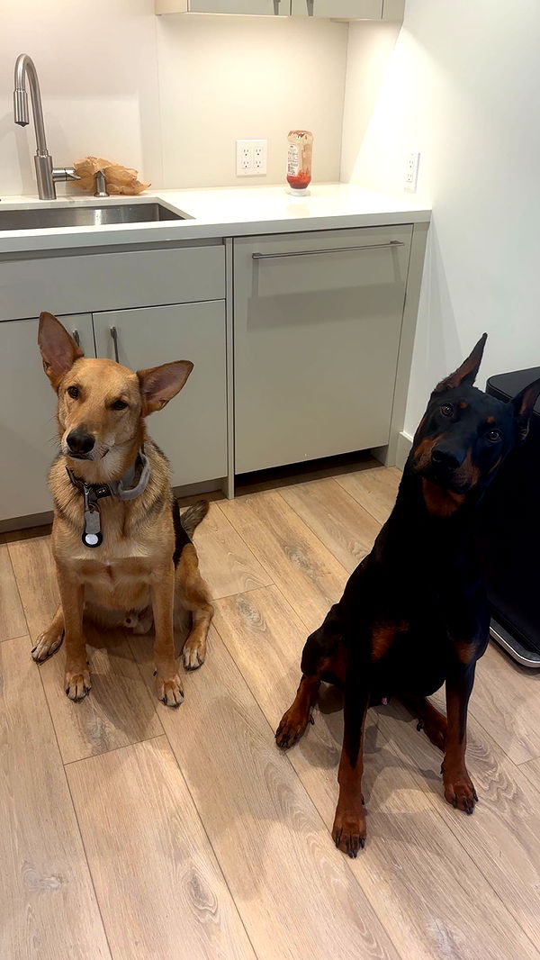 miahuffmann image ~ Altpins