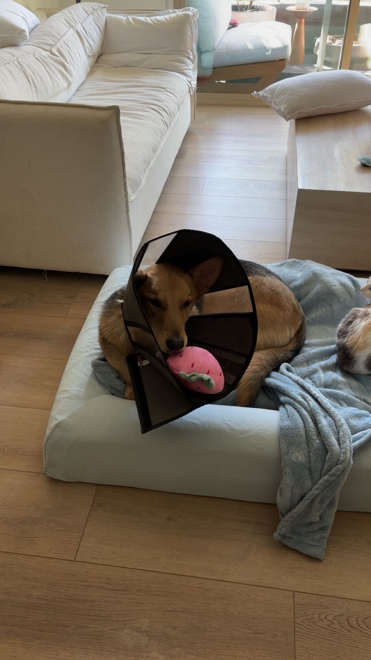 miahuffmann snapchat image archive image