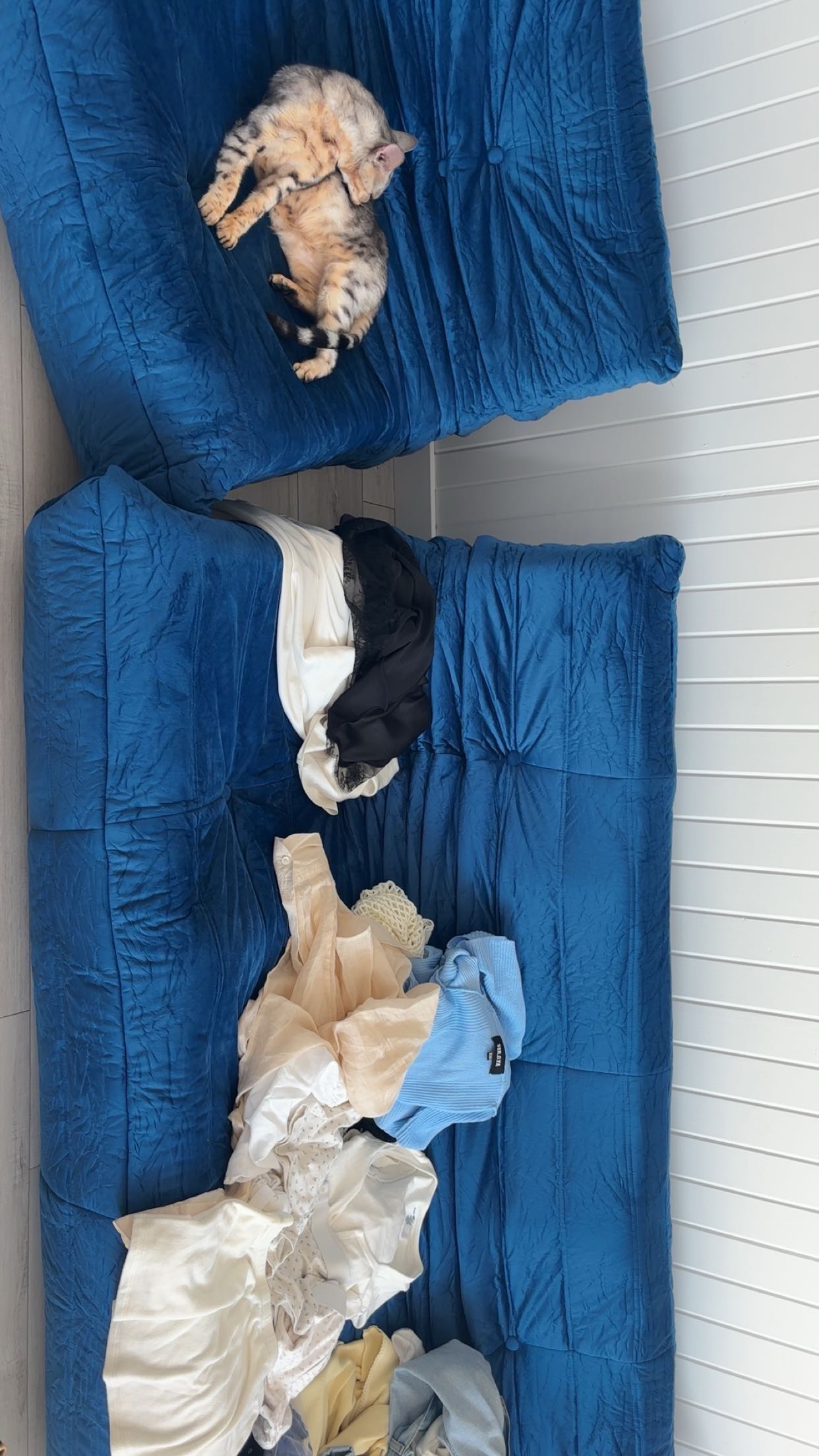 miahuffmann snapchat image archive image