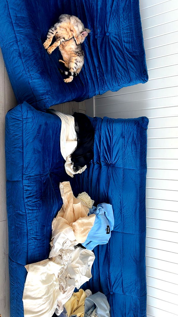 miahuffmann image ~ Altpins