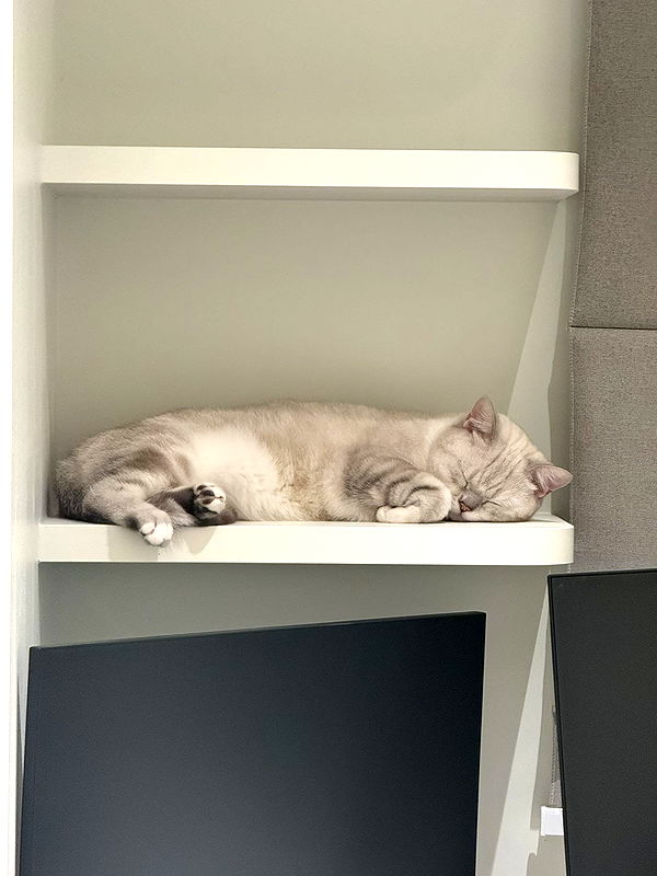 minaxash minaxash archive image