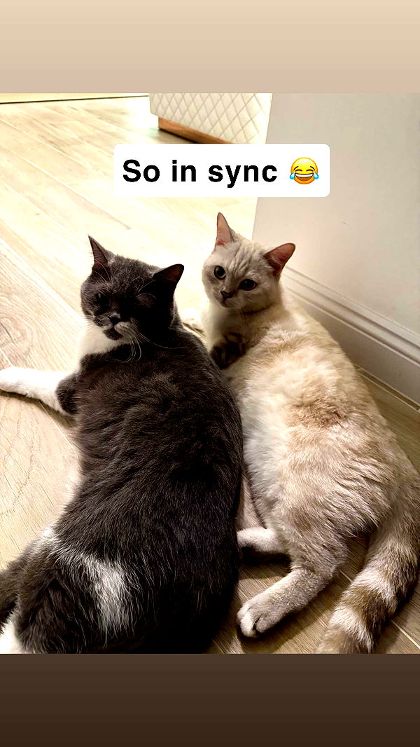 minaxash minaxash archive image