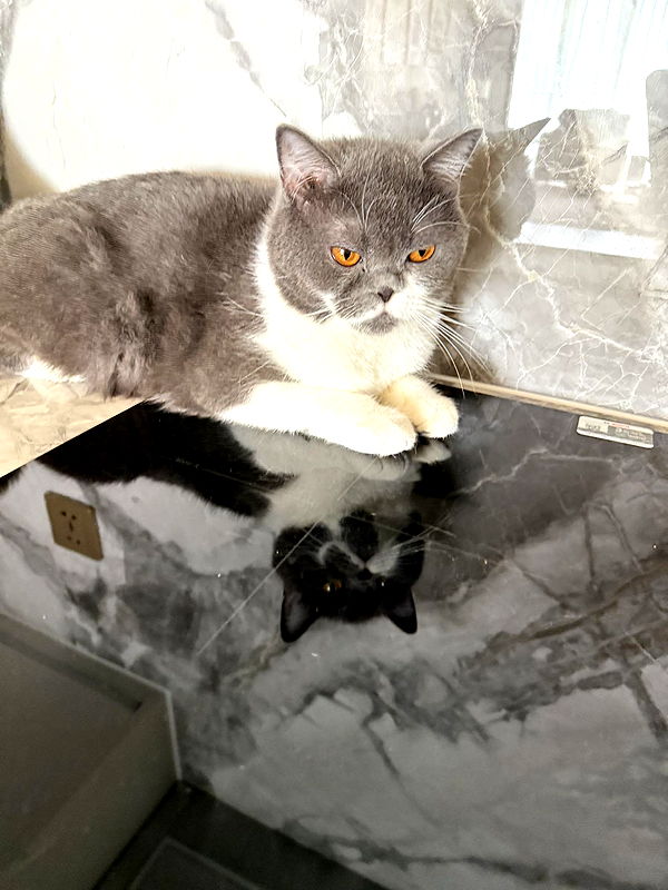 minaxash minaxash archive image