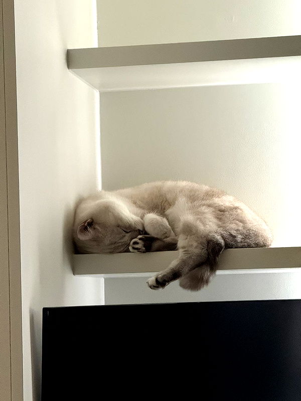 minaxash minaxash archive image