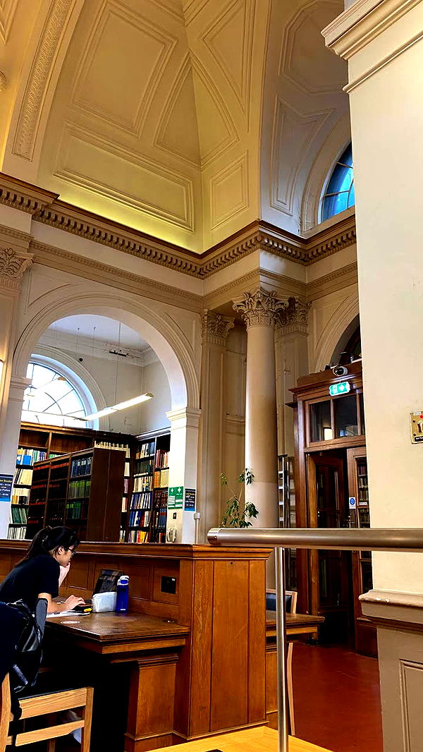 mira.0004 image ~ Altpins