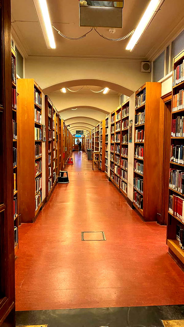 mira.0004 image ~ Altpins