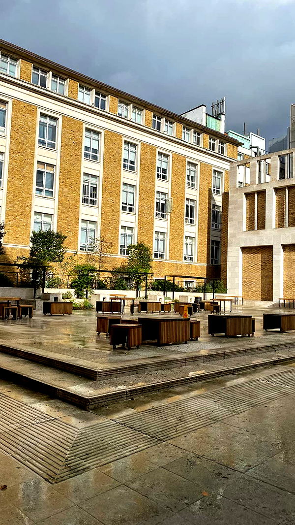 mira.0004 image ~ Altpins