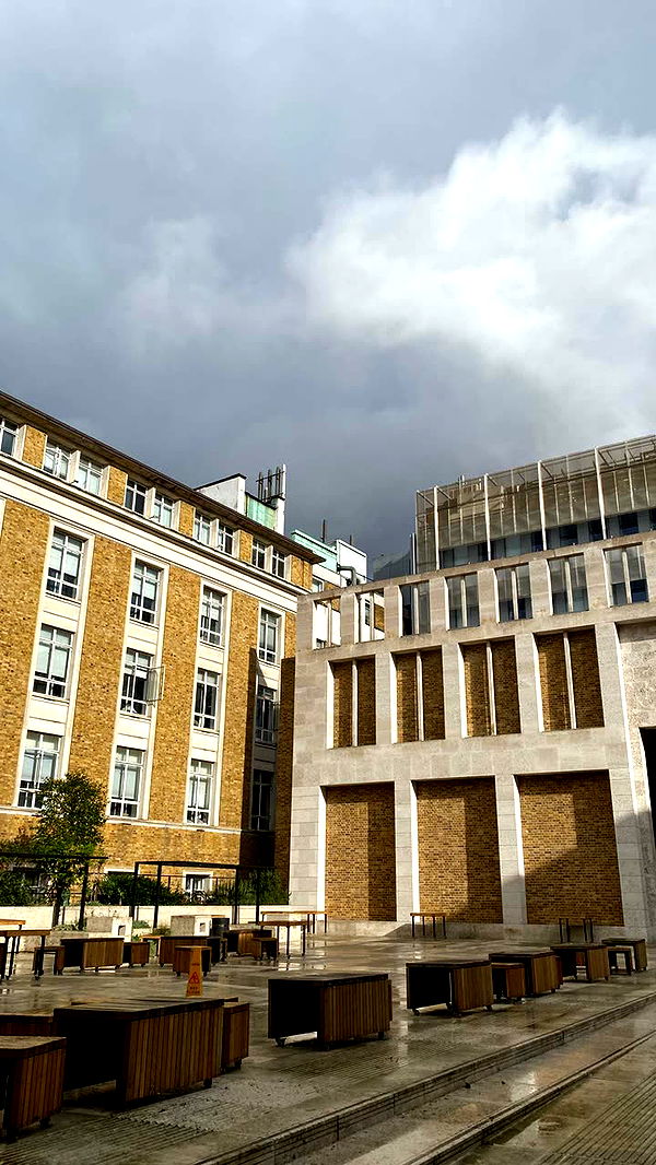 mira.0004 image ~ Altpins