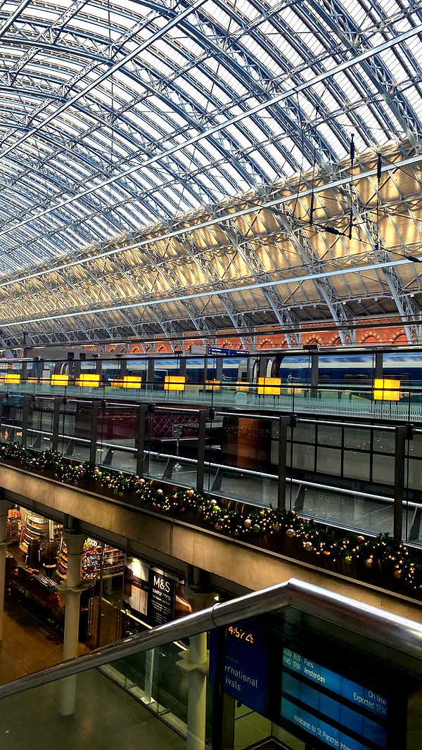 mira.0004 image ~ Altpins