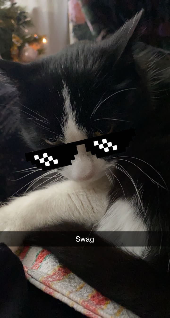 mira.0004 snapchat image archive image