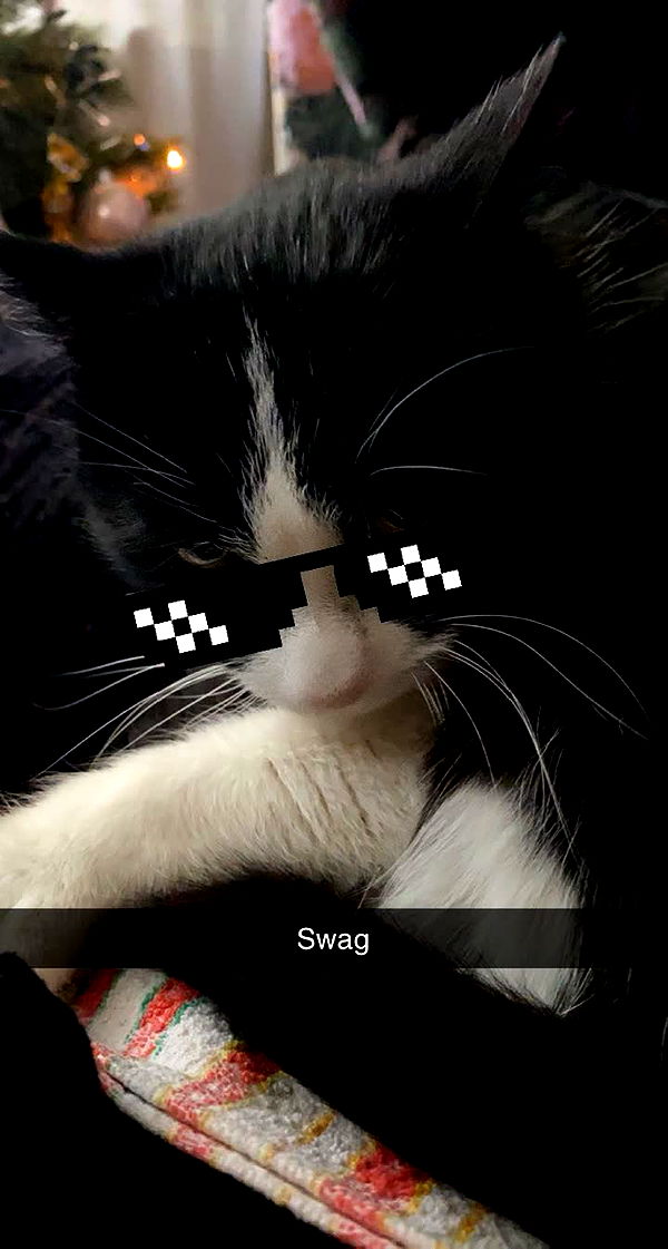 mira.0004 image ~ Altpins