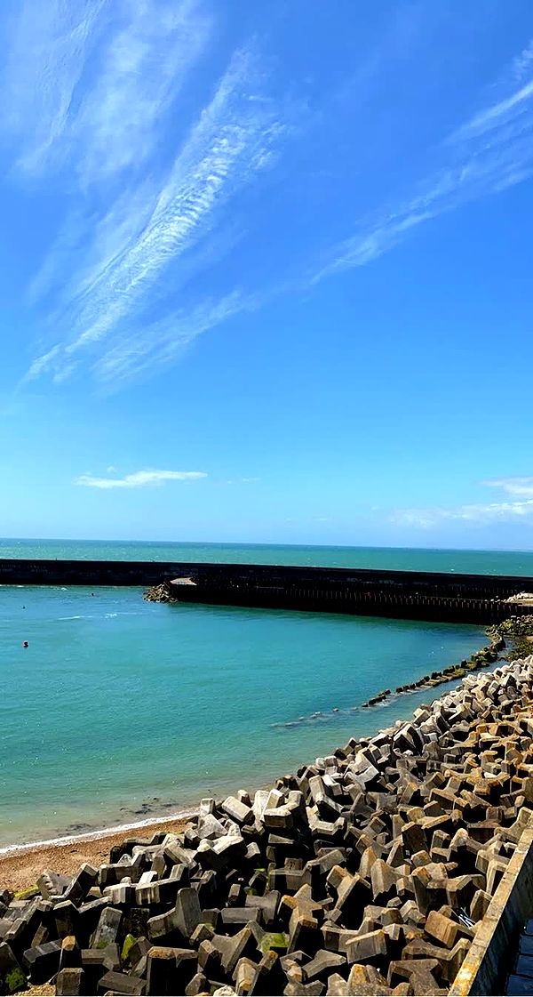 mira.0004 image ~ Altpins