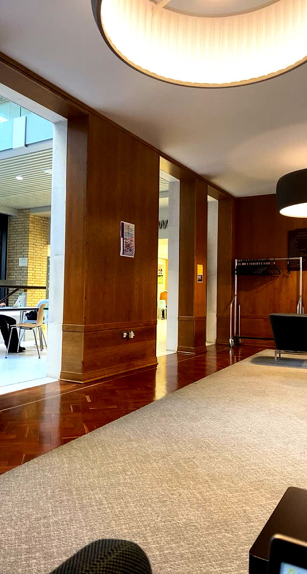 mira.0004 image ~ Altpins