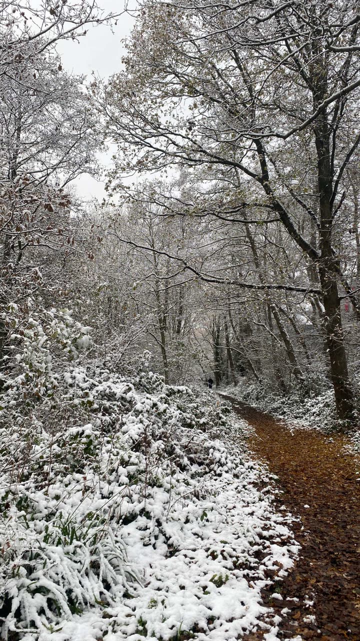 mira.0004 snapchat image archive image