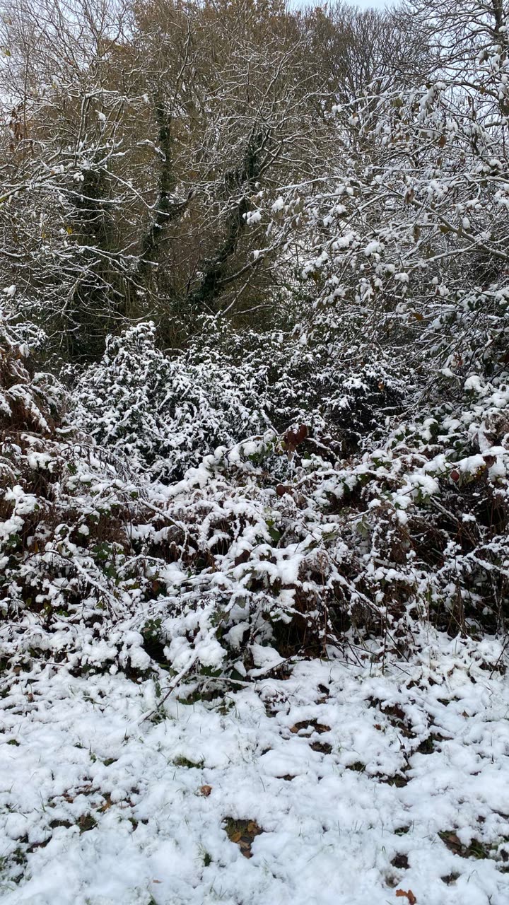 mira.0004 snapchat image archive image