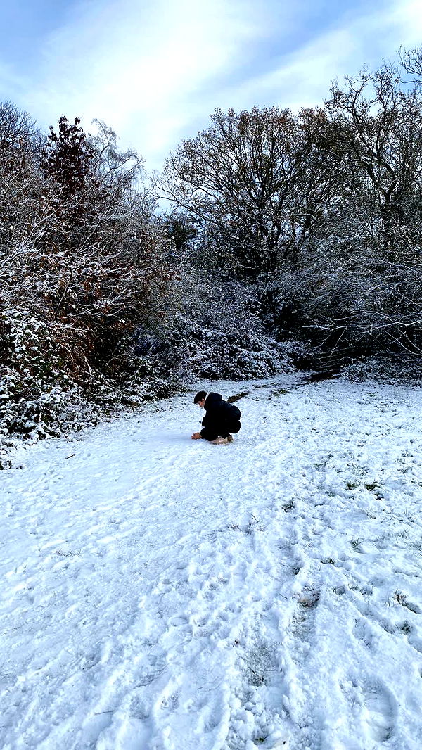 mira.0004 image ~ Altpins