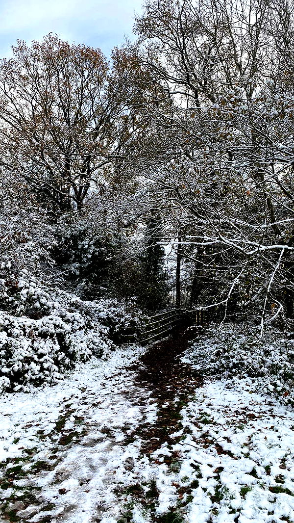 mira.0004 image ~ Altpins