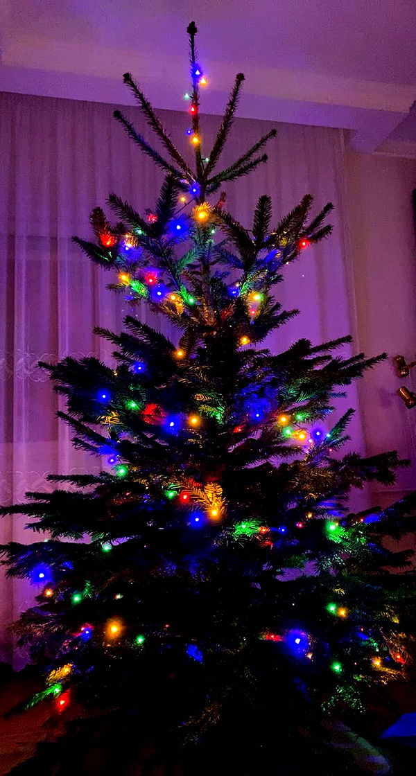 mira.0004 image ~ Altpins