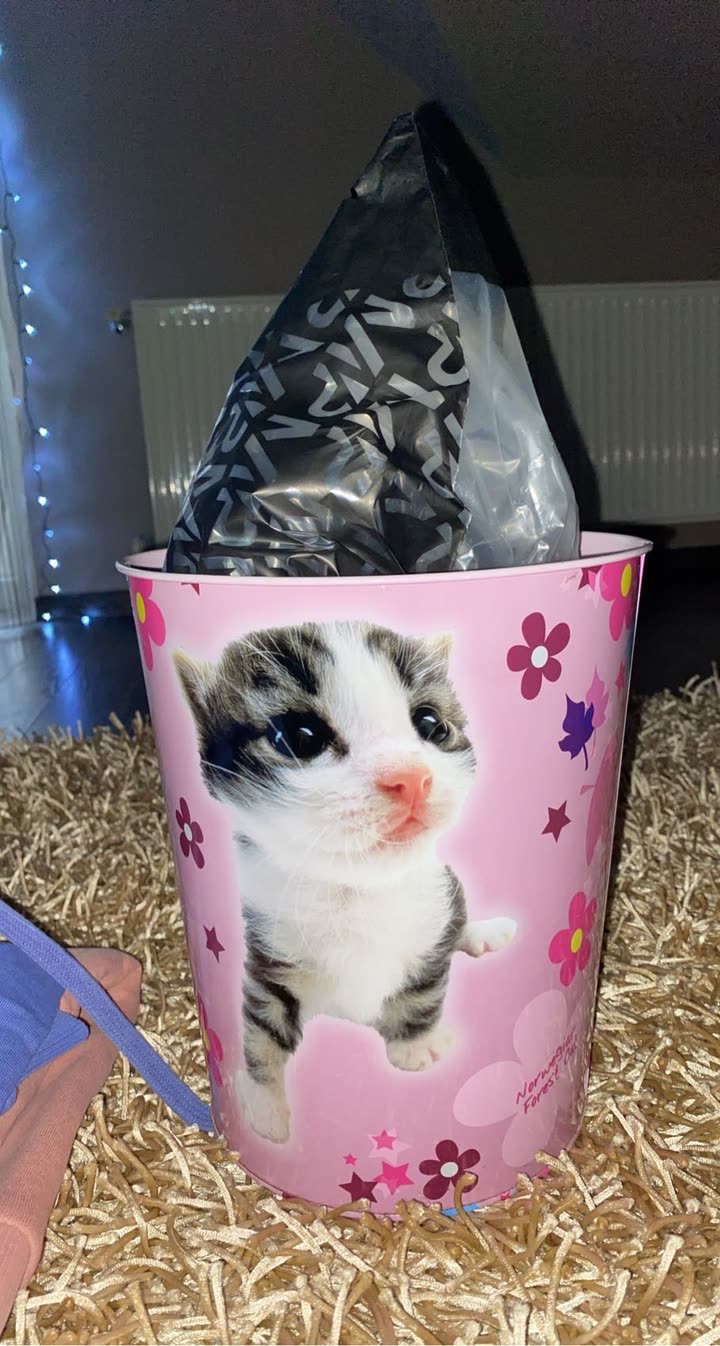 mira.0004 snapchat image archive image