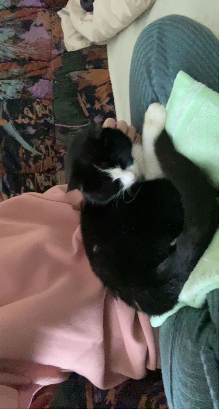 mira.0004 snapchat image archive image