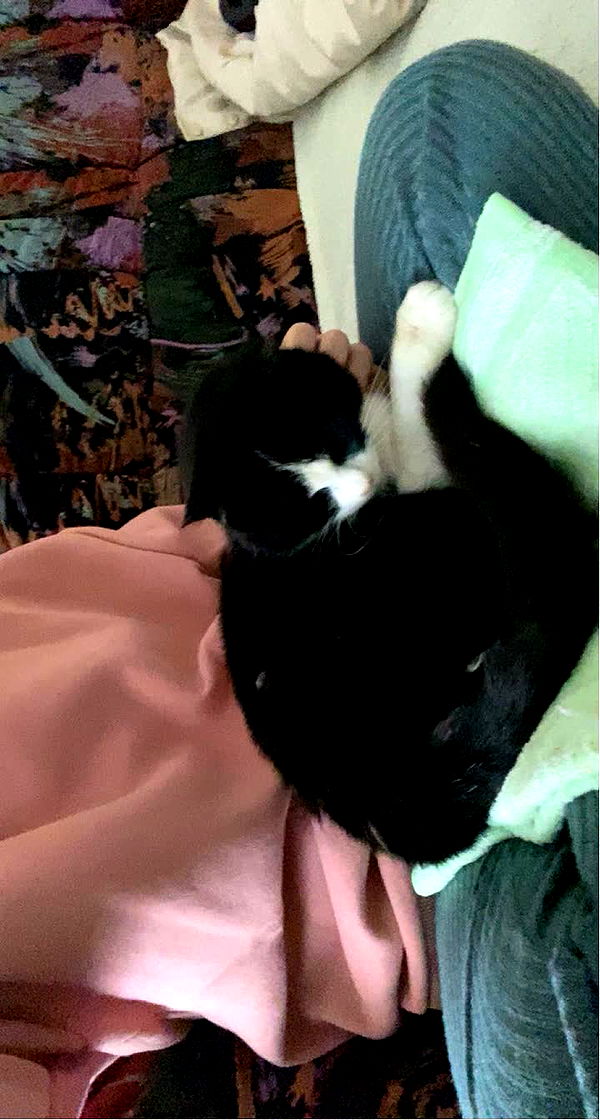 mira.0004 image ~ Altpins