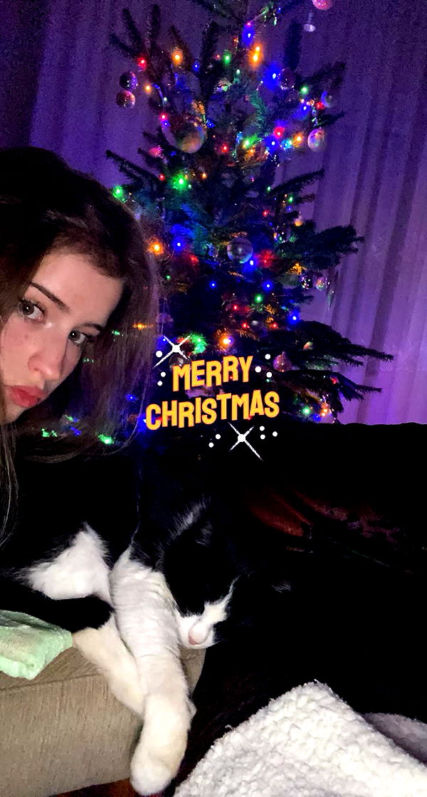 mira.0004 image ~ Altpins