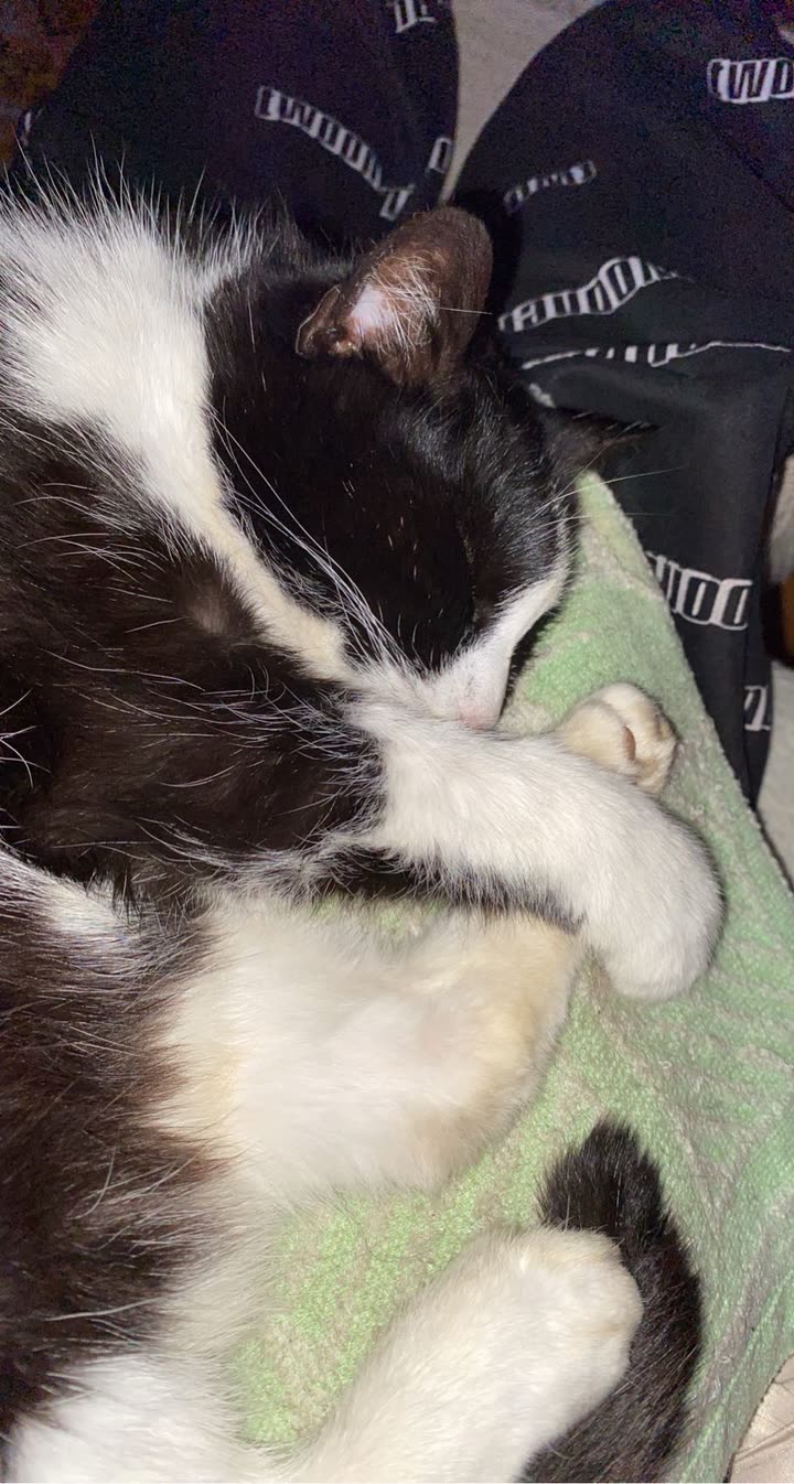 mira.0004 snapchat image archive image