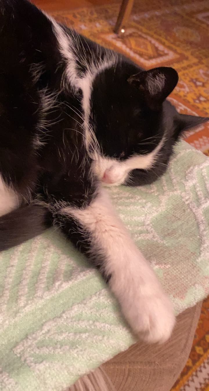 mira.0004 snapchat image archive image