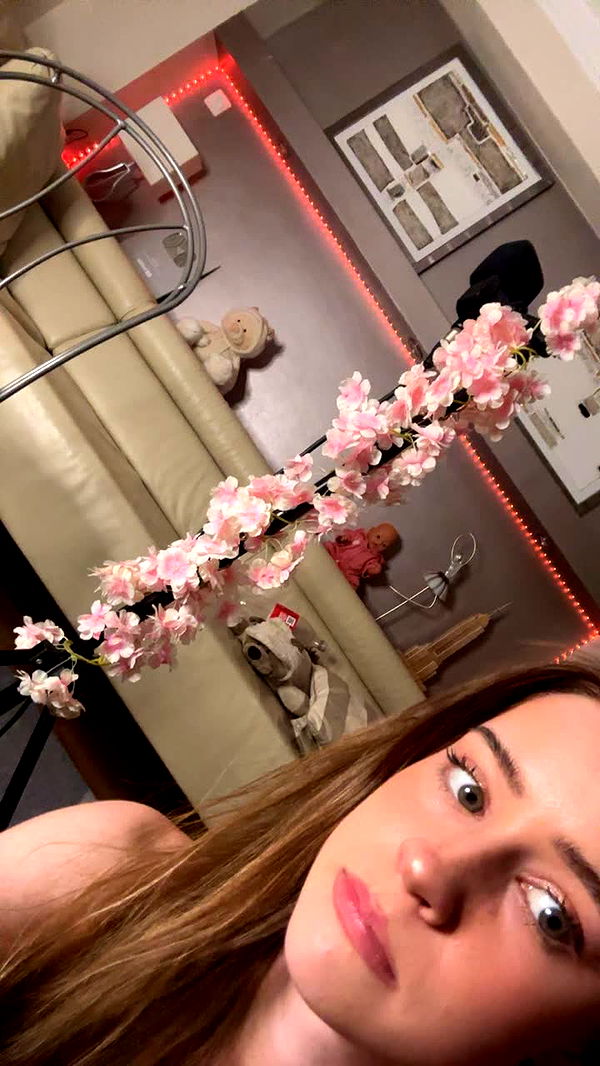 mira.0004 image ~ Altpins