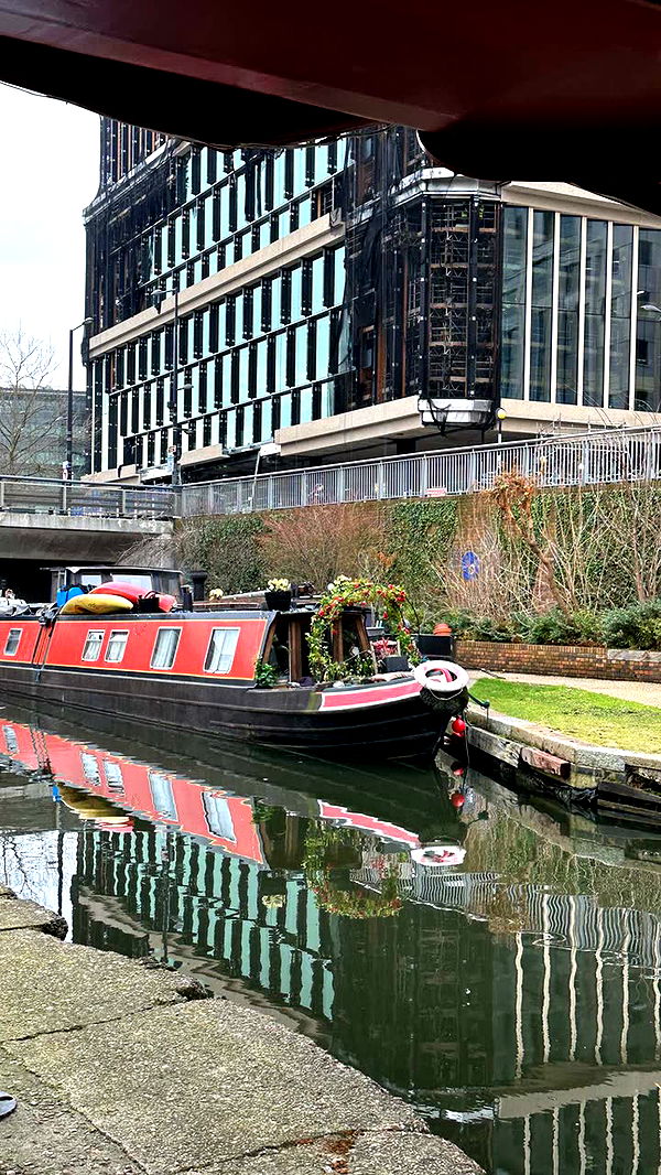 mira.0004 image ~ Altpins