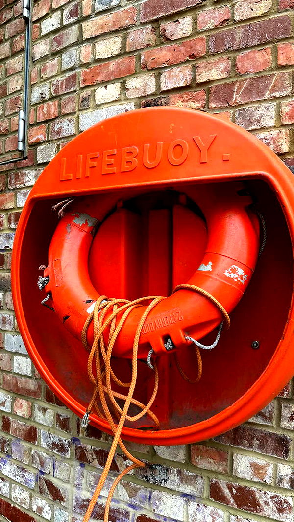 mira.0004 image ~ Altpins