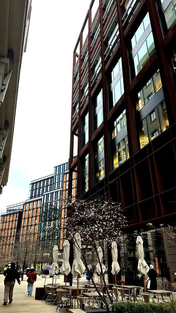 mira.0004 image ~ Altpins