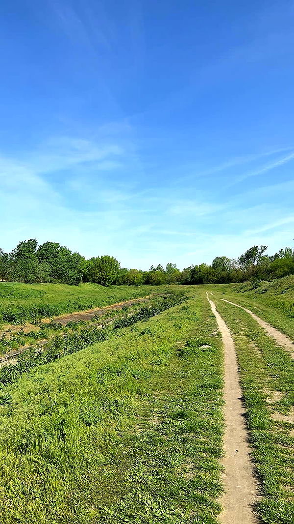 mira.0004 image ~ Altpins